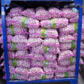 20kg Beutel Knoblauch für den Kongo